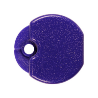 Large Sparkle Retainer/Aligner Case